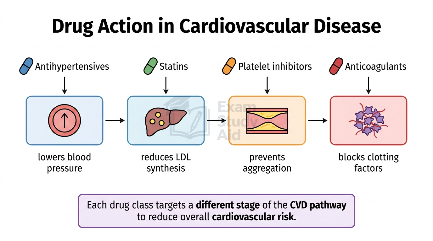 Four cardiovascular drug classes and their targets: antihypertensives lower blood pressure, statins reduce LDL synthesis, platelet inhibitors prevent aggregation, anticoagulants block clotting factors.