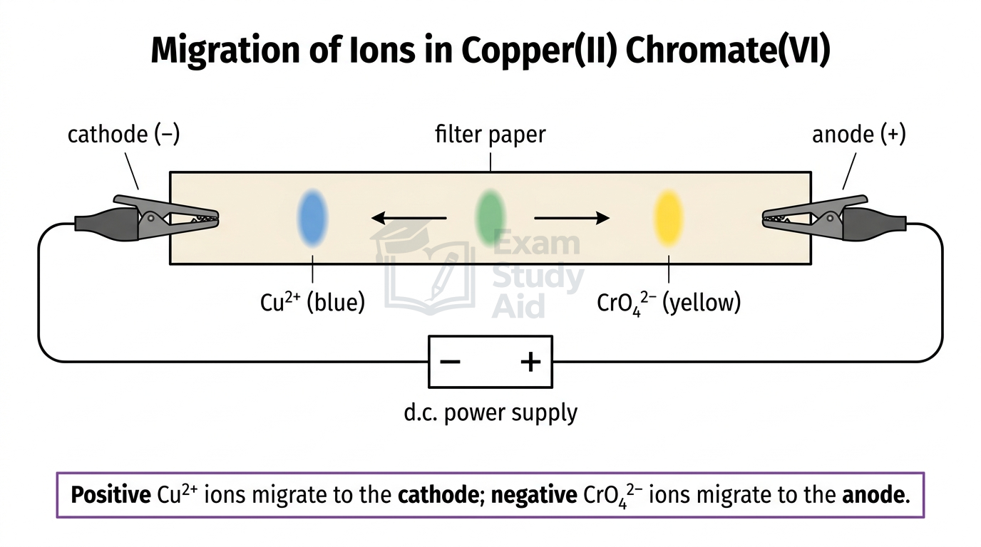 Electrolysis of copper(II) chromate(VI) on filter paper, with blue Cu2+ ions migrating to the cathode and yellow chromate ions to the anode.