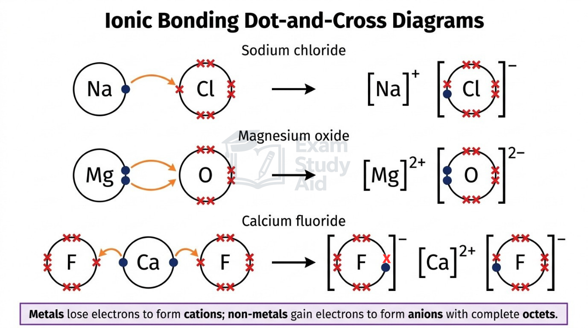 Dot-and-cross diagrams for sodium chloride, magnesium oxide and calcium fluoride showing electron transfer from metal to non-metal forming bracketed ions.