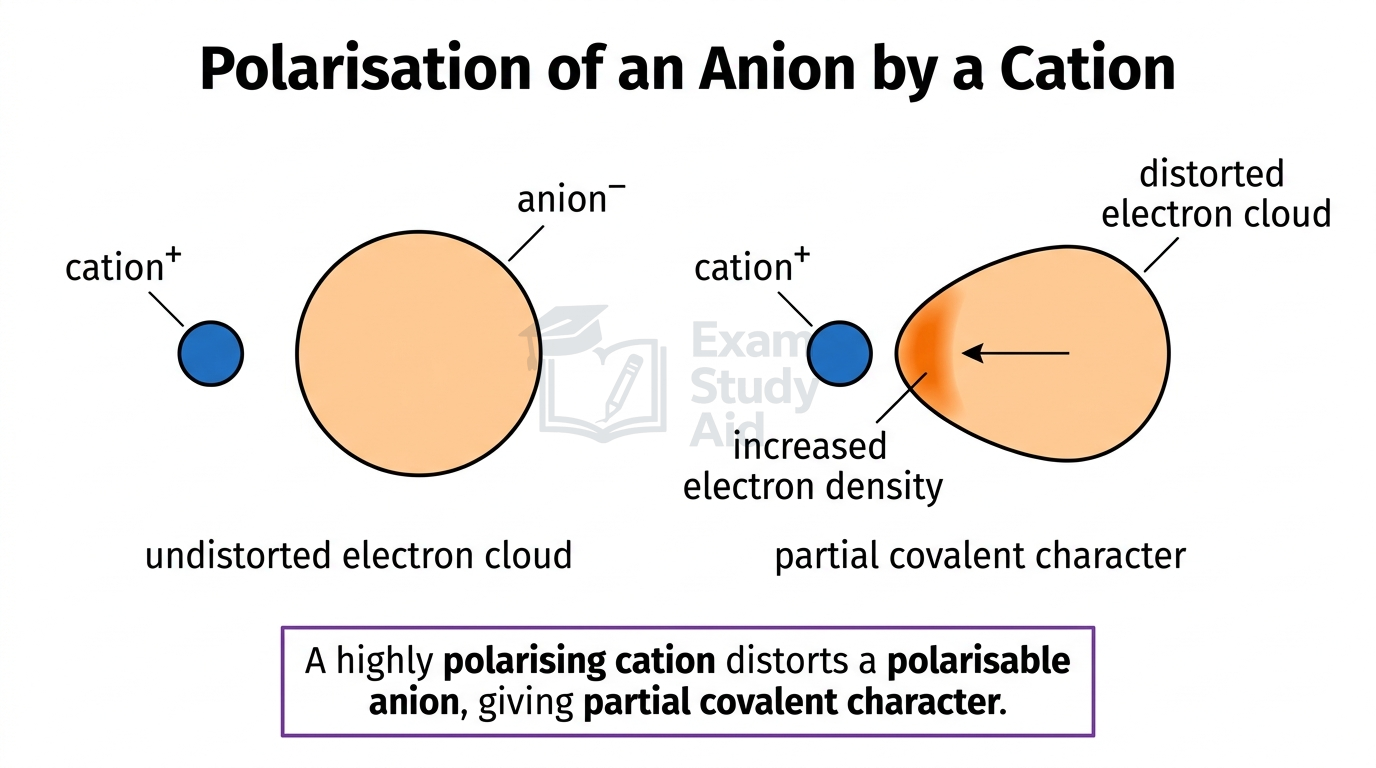 Diagram of a cation polarising an anion: an undistorted spherical electron cloud versus a distorted cloud with increased density giving partial covalent character.