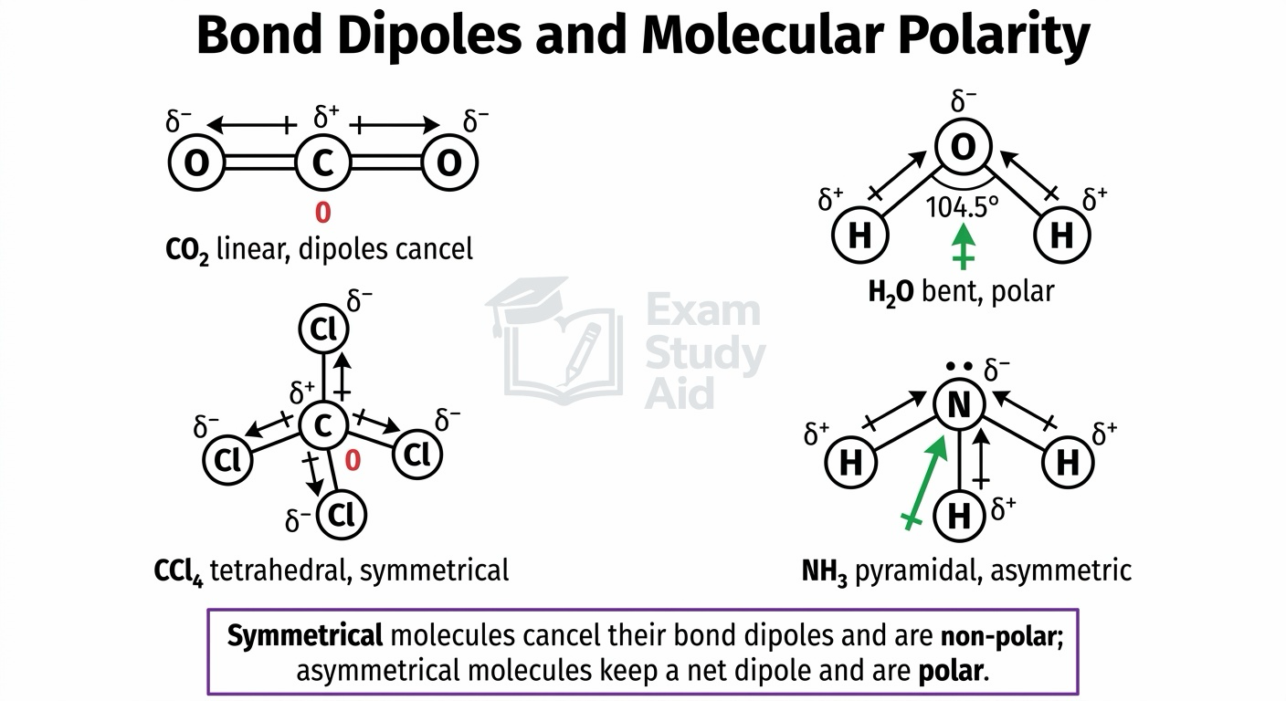 Bond dipoles and molecular polarity: linear CO2 and tetrahedral CCl4 non-polar with cancelling dipoles, versus bent H2O and pyramidal NH3 which are polar.