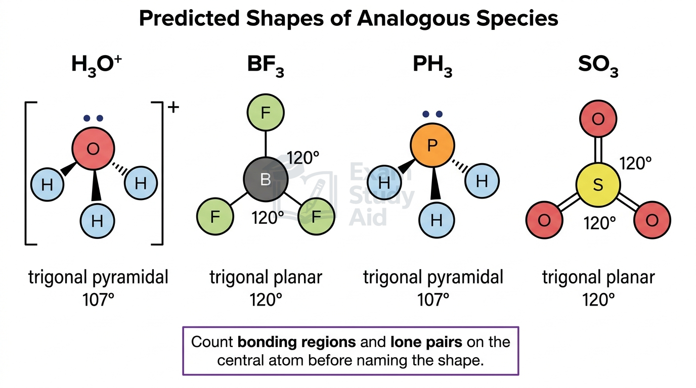 Predicted shapes of analogous species: trigonal pyramidal H3O+ and PH3, and trigonal planar BF3 and SO3, deduced by counting bonding and lone pairs.