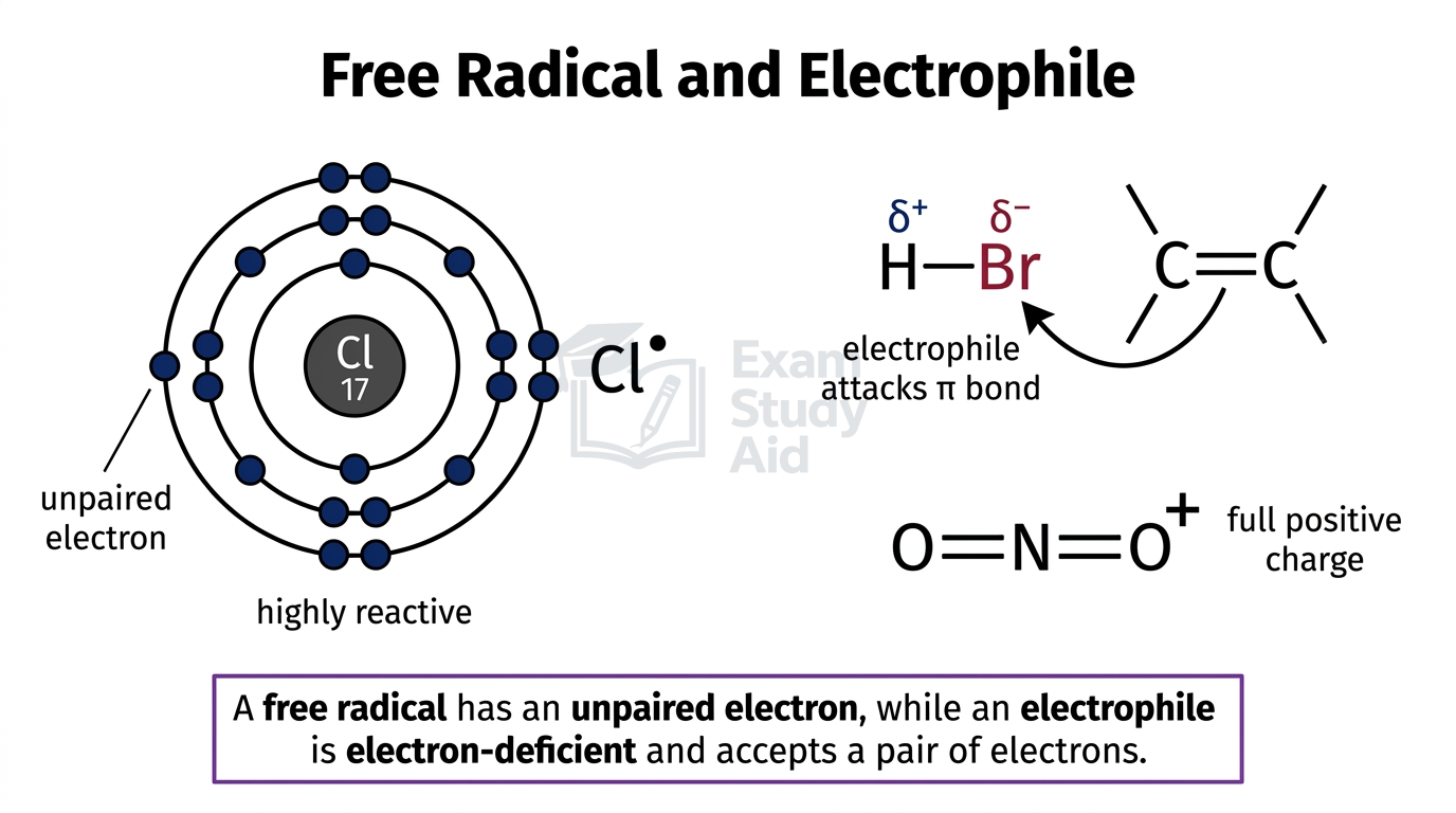 Free radical and electrophile diagram: a chlorine atom with an unpaired electron, a polar H-Br electrophile attacking a pi bond, and NO2+ with a positive charge.