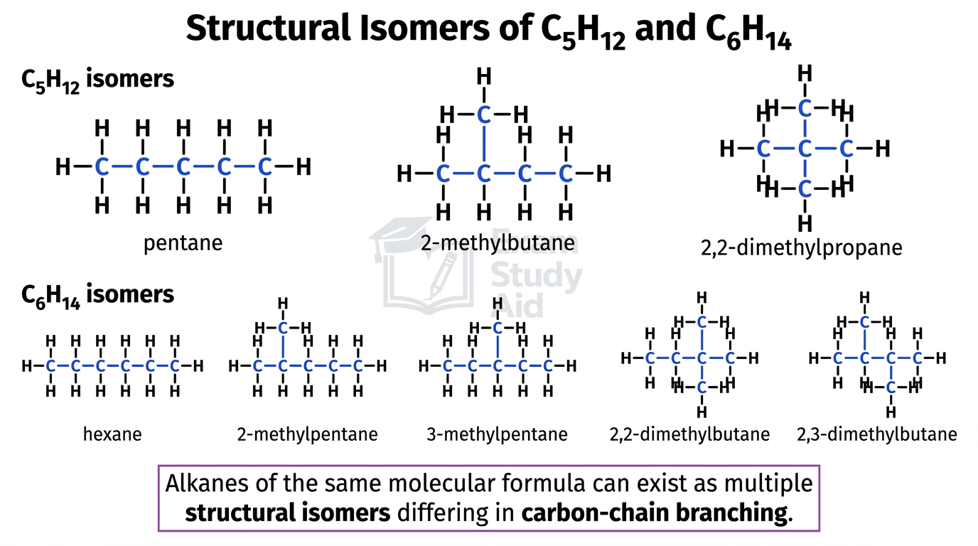 Displayed structures of the three C5H12 isomers and five C6H14 isomers, illustrating structural isomerism through differing carbon-chain branching.