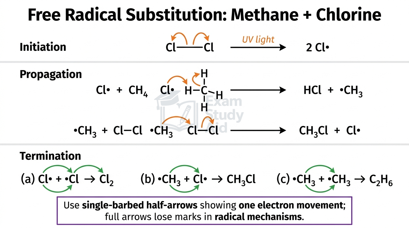 Free radical substitution of methane and chlorine showing initiation, propagation and termination steps with single-barbed half-arrows for one-electron movement.