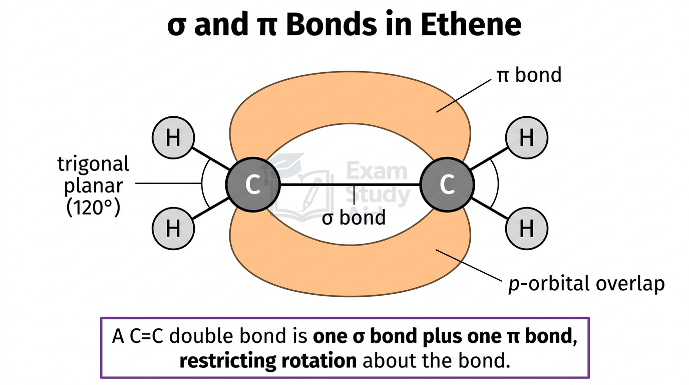 Diagram of the ethene C=C double bond showing the sigma bond between carbons and the pi bond from p-orbital overlap above and below the plane.