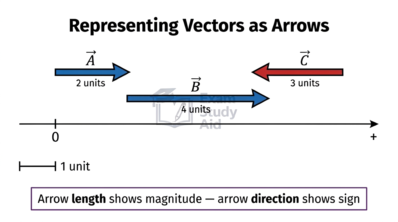Number line with vectors as arrows: A of 2 units and B of 4 units pointing positive, C of 3 units pointing negative, length showing magnitude and direction showing sign.
