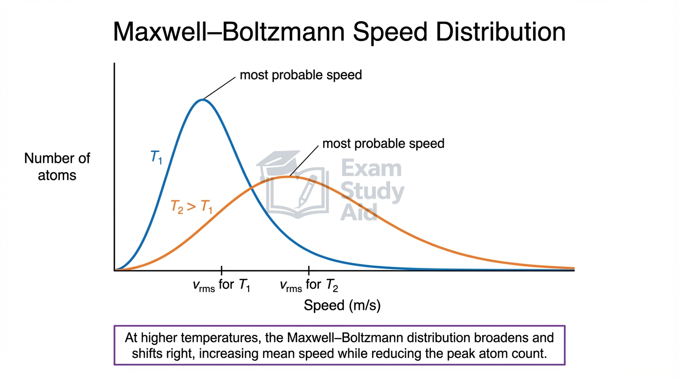 Maxwell-Boltzmann speed distribution comparing two temperatures: the higher-temperature curve is broader and lower with its peak and rms speed shifted right.