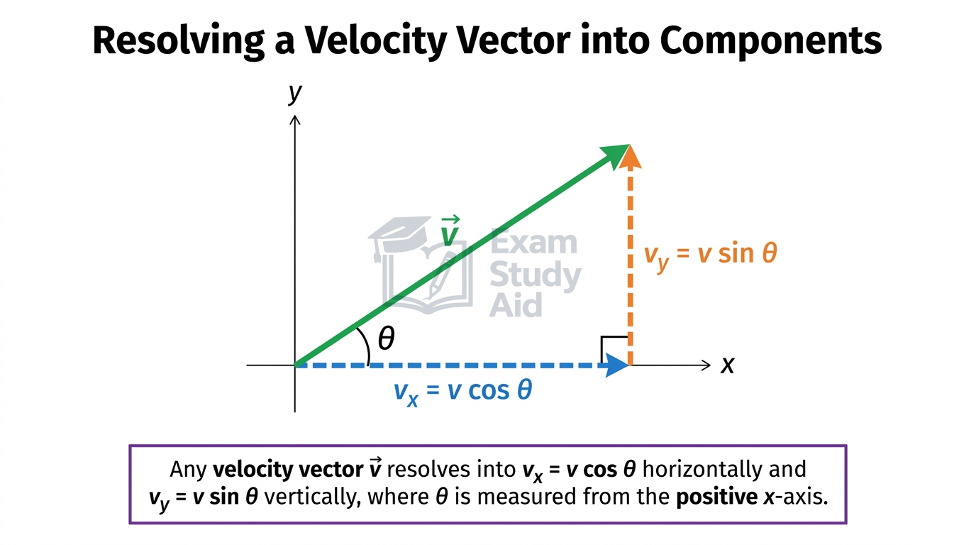 Velocity vector v resolved on x-y axes into horizontal component v cos theta and vertical component v sin theta at angle theta.