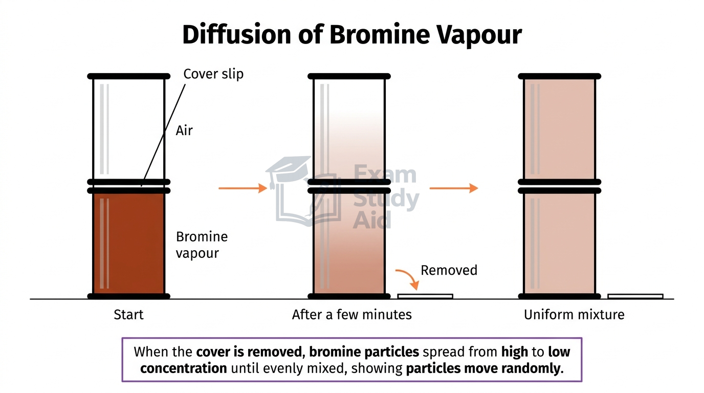 Diffusion of bromine experiment shown in three stages: dense brown bromine below air, the brown colour spreading upward after the cover is removed, and a uniform mixture.
