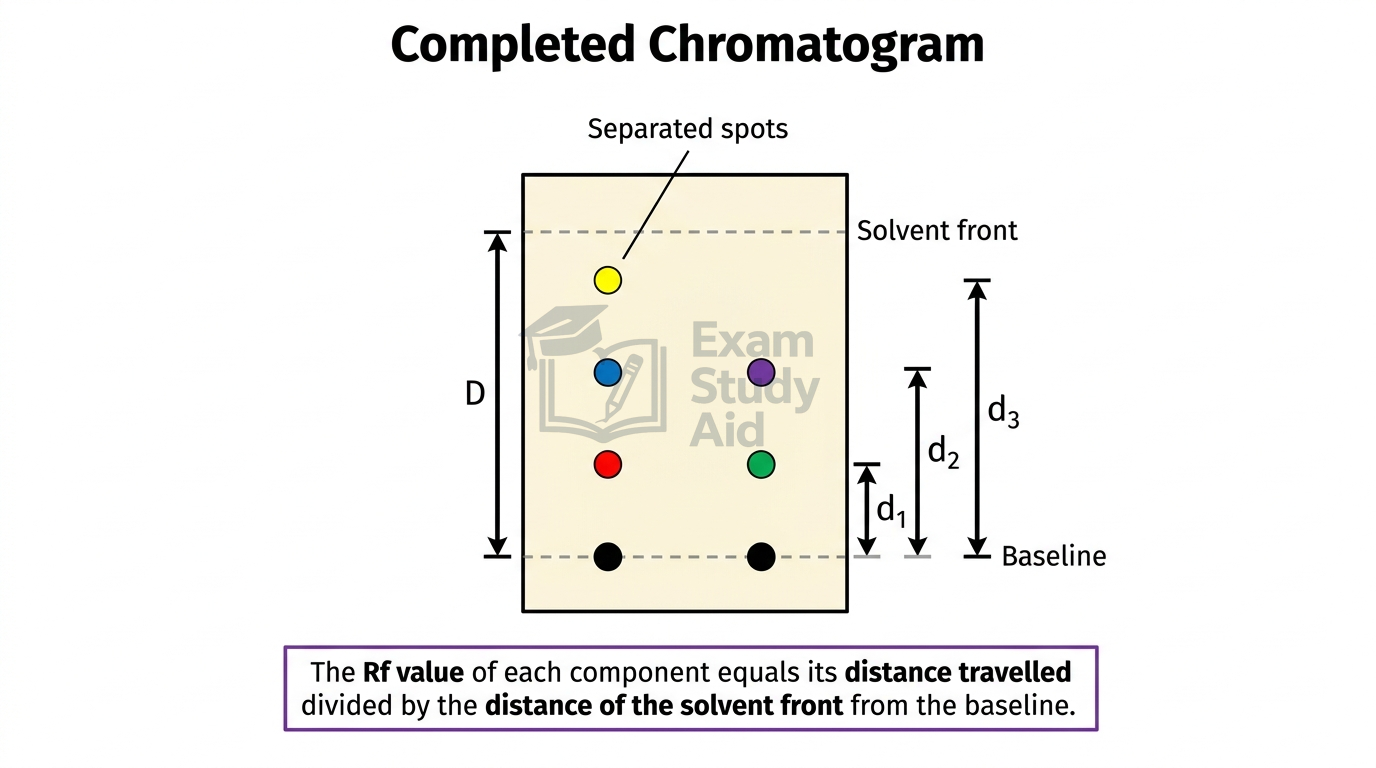 Completed chromatogram marking distances used to calculate Rf: spot distances d1 and d2 from the baseline and solvent front distance d3, with separated coloured spots.