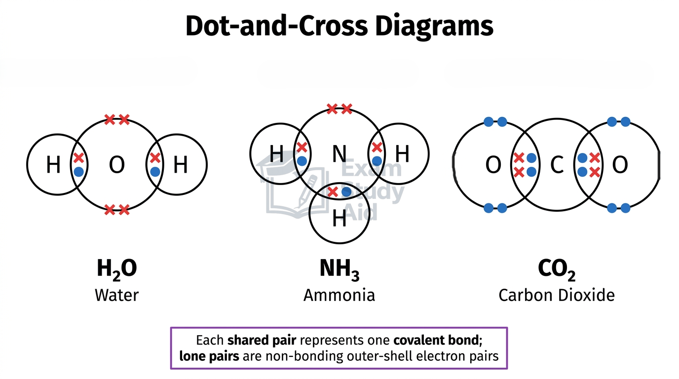 Dot-and-cross diagrams of water, ammonia and carbon dioxide showing shared bonding pairs and lone pairs on the central atoms.