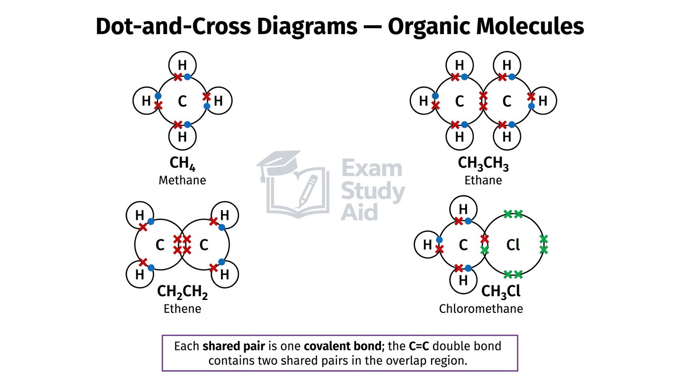 Dot-and-cross diagrams of organic molecules methane, ethane, ethene (C=C double bond) and chloromethane with shared electron pairs.