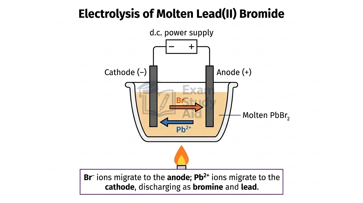 Electrolysis cell of molten lead(II) bromide showing bromide ions migrating to the positive anode and lead ions to the negative cathode.